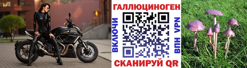 Галлюциногенные грибы прущие грибы Купить Ивангород